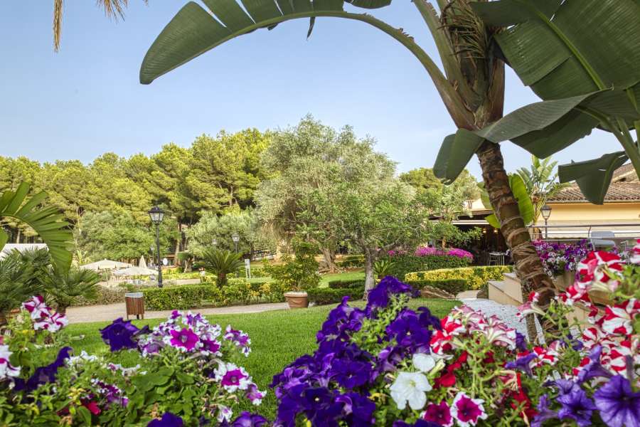 offre client repeater vell mari hotel & resort